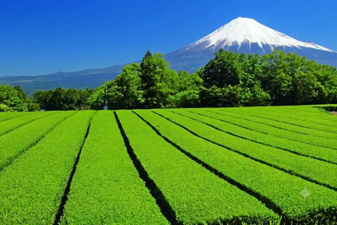 paisaje de la prefectura de shizuoka